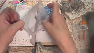 Setting up my Standard TN, Planner Perfect Croc Edit unboxing