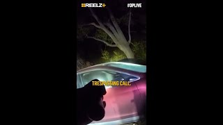 When a Bear Breaks Into Car and Ends Up Trapped