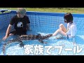テン君(オオトカゲ)と一緒に巨大プールで遊んで餌あげ!!!