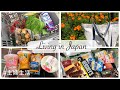 Grocery Shopping in Japan, Japan Supermarket Lunch Box, Spring Day Picnic | LIVING IN JAPAN VLOG