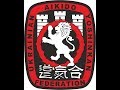 Aikido yoshinkan ukraine instructors