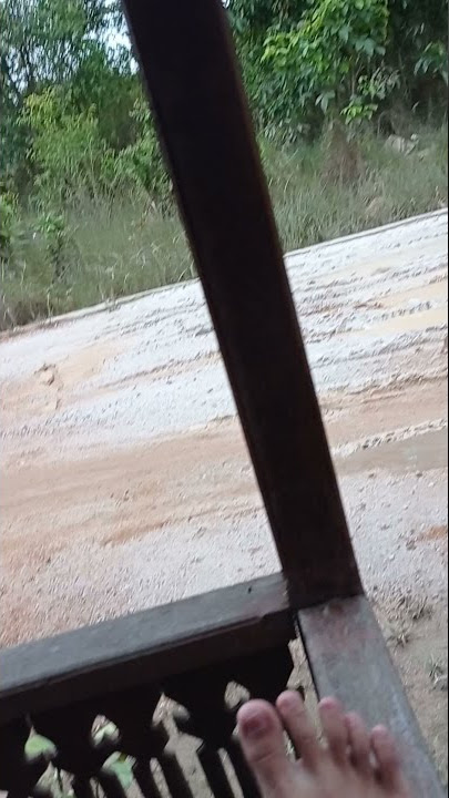 TELKOMSEL BANGSAT AJNG BABI NGENTOD