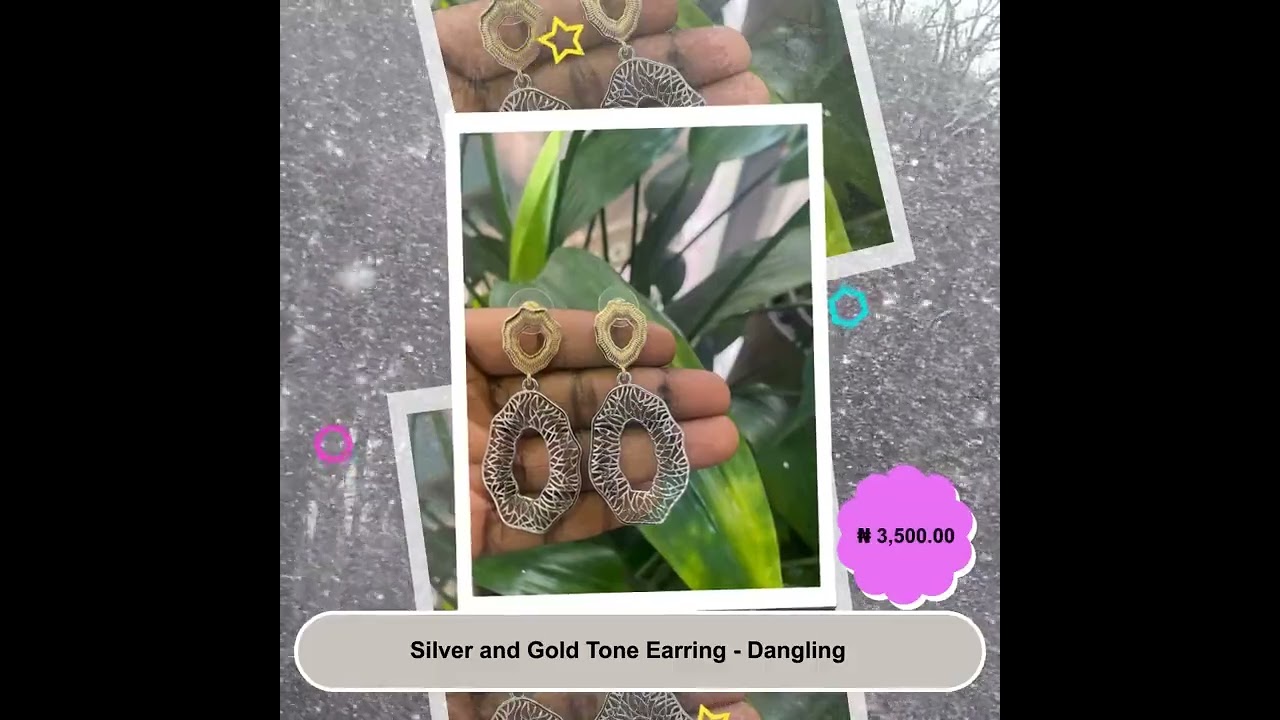 Silver and Gold Tone Earring - Dangling