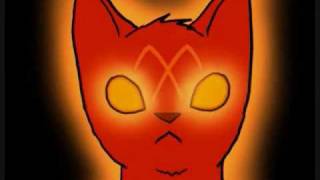 The Tygrine Cat Promo