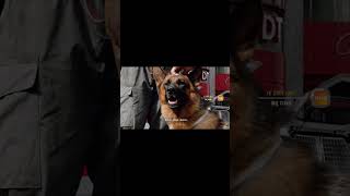 Duik in de spannende wereld van Commissaris Rex! Elke woensdag om 20:00 uur bij ONS! #commissarisrex