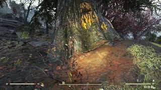 Harvest: Glowing Resin | Fallout 76