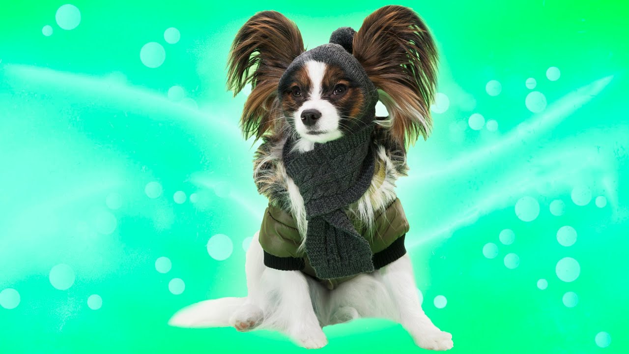 КАЖДОМУ овощу свое время! Веселый ЮКИ и ПОСЛОВИЦЫ - YouTube