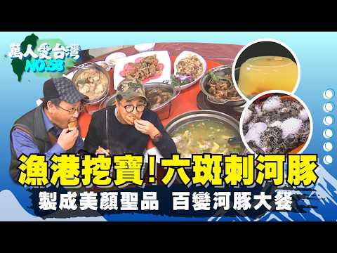 《萬人愛台灣》【隱藏教堂好滋味 柴燒爆漿麵包 / 另類演奏家 黑手師傅苦練小提琴 / 宜蘭無毒河豚 女性護膚聖品】 台灣第一等