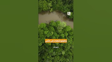تلاوة لما تيسر من سورة الحج #قاف_التفاعلية