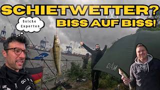 SCHIETWETTER? EGAL! Zander BISS auf BISS an der Hamburger Elbe 🎣