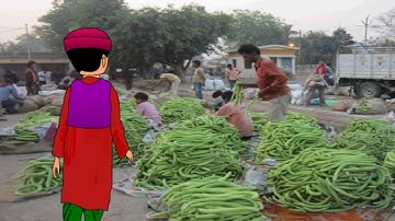 EVS - From Market to Home -  Part 1 - Taking to Home - NCERT Class 4  - In English