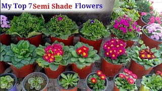 March में लगाए Top 7 Semi Shade Flowering Plants || Best Full Blooming Plants In Spring