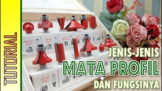 JENIS MATA PROFIL DAN FUNGSINYA