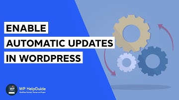 How to Enable Automatic Updates for WordPress Themes and Plugins