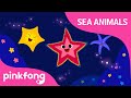Shooby Dooby Doo Starfish Sea Animals Song Animal Song Pinkfong Songs For Children mp3