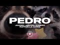 Pedro pedro pedro pe  jaxomy agatino romero raffaella carr  sub espaol tiktok