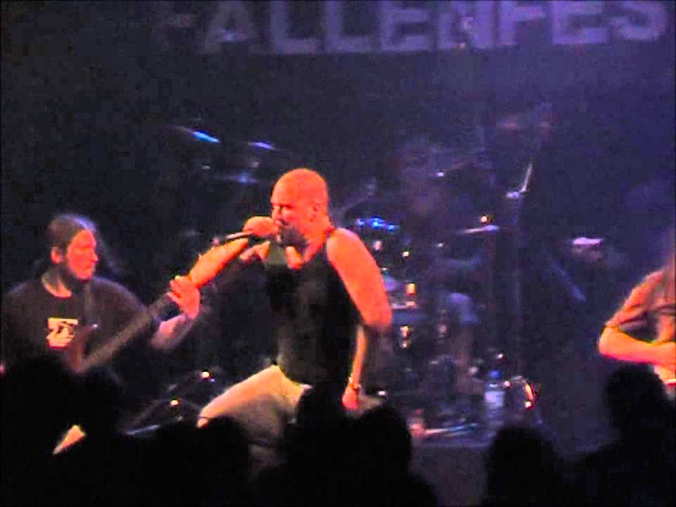 The Grand Hare Order HECTIC PATTERNS