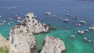 La Posidonia oceanica a rischio nellAMP Isole Tremiti @MARLINTREMITIADELMOSORCI