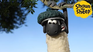 Shaun the Sheep 🐑 Hang on Shaun! - Cartoons for Kids 🐑 Full Episodes Compilation [1 hour]