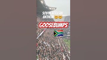 South African Anthem🤯 GOOSEBUMPS!! SPRINGBOKS VS ARGENTINA 2025 #rugby #springboks #anthem #RSA