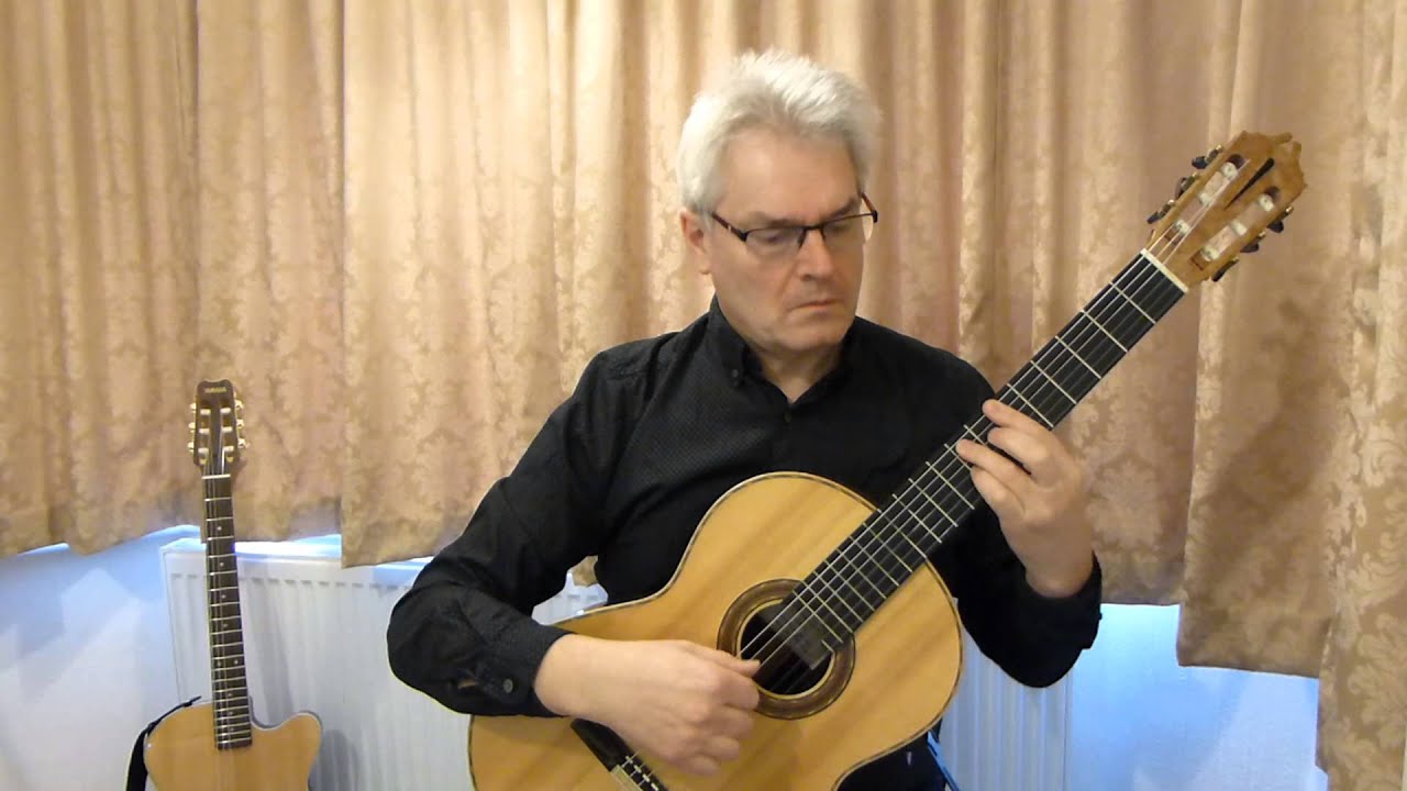Torija Guitar Torija Guitar