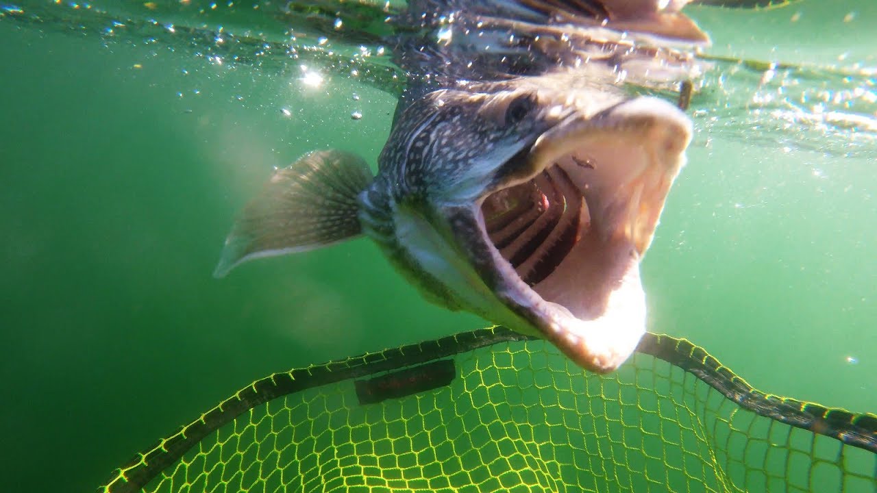 Odell Lake Kayak Fishing - YouTube