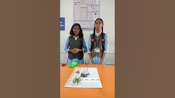 Railway Track Security System