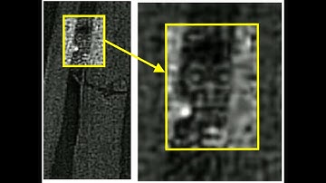 Why I Do Not Trust The Sasquatch