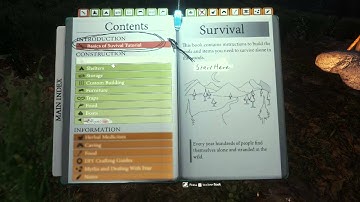 The Forest 1.0 (LP) - "Crash Landing"