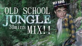 Old School Jungle Mix (February 2020)