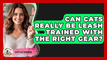 Can Cats Really Be Leash Trained With The Right Gear? - Happy Cat Handbook