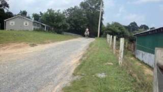 MOV09879