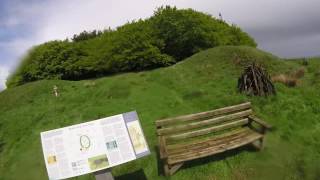 Beacon Ring