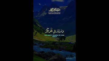 Сура Аль-Худжурат Аят 7 #коран #quran #قرآن سوره الحجرات ايه 7 #قران_كريم #аллоху #субханаллах