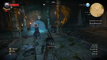 The Witcher 3: Wild Hunt Geralt the Headsman of Blaviken!!