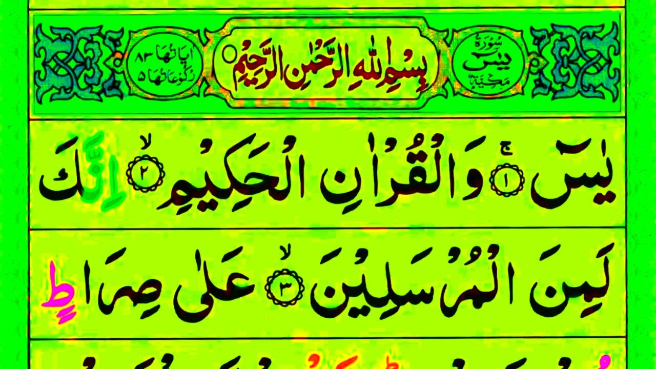 SURAH YASEEN , SURAH RAHMAN , MANZIL DUA. LEARN QURAN RECITATION ONLINE, #quran