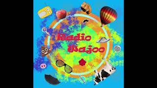 Radio Wajoo Kamerplanten