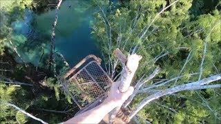 The Ultimate Tree Jump