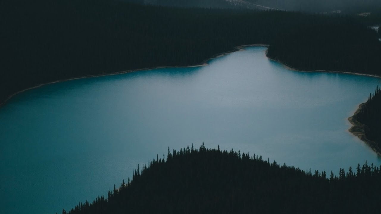 Tim Engelhardt @ No More Words (Live Set - Innervisions 2017)