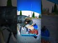 His Kindness Made Me Cry…😭🐶(@moco.carTT) #shorts