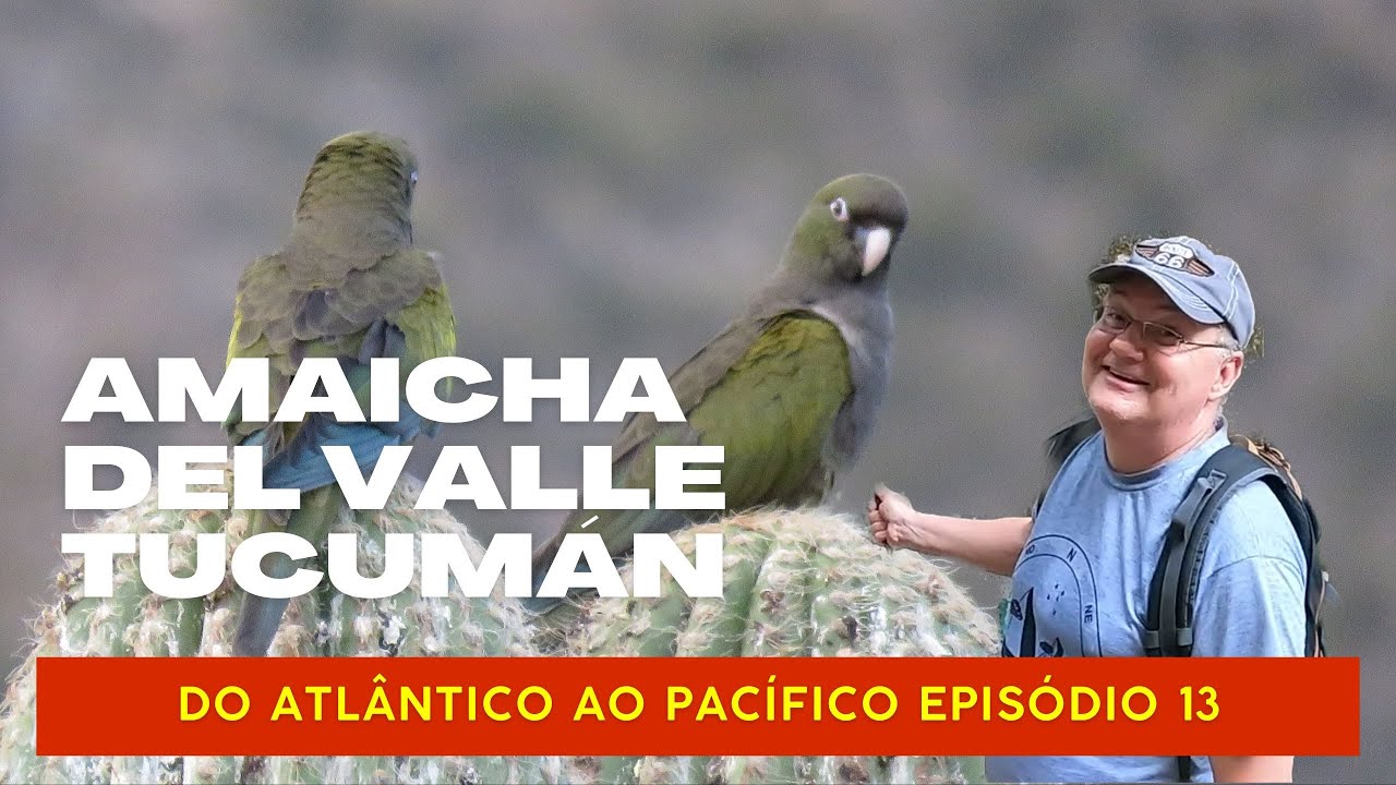 Episódio 013 - AMAICHA DEL VALLE- Província de Tucumã - Do Atlântico ao ...