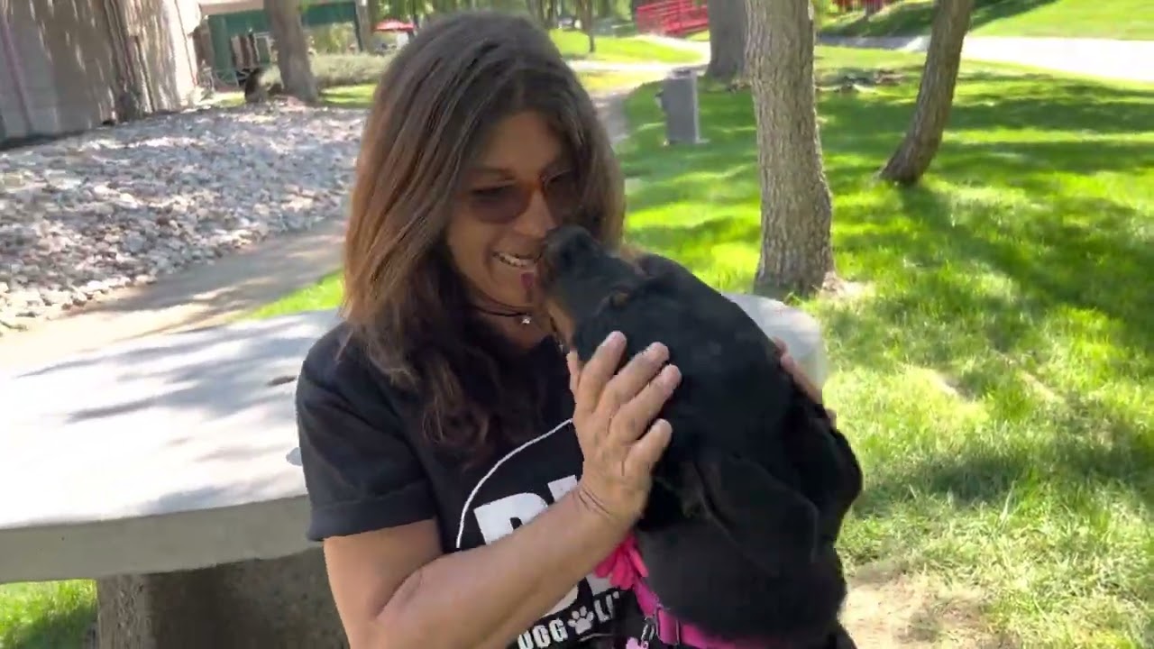 NMDOG MAZEY! (Adopted!)