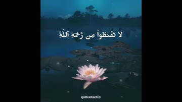 سورة الزمر بصوت ماهر المعقلي // حالات واتس اب دينية // راحة نفسية ❤