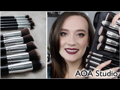 AOA Studio $10 Brush Set Review! ShopMissA