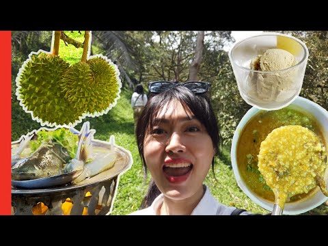 FOOD TRIP at Janda Baik in Malaysia (Secret Cafe + Stall)