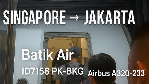 Batik Air ID7158 Flight Review! 🇸🇬 Singapore to Jakarta 🇮🇩 Airbus A320-233 PK-BKG