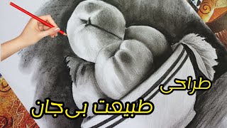 آموزش طراحی از طبیعت بی‌جان با کنته و زغال _ how to draw still life _ آموزش طراحی از پایه _ نقاشی