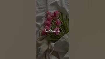 #تلاوة_خاشعة #قران_كريم #تلاوات #قرآن #سبحان_الله #الحمدلله