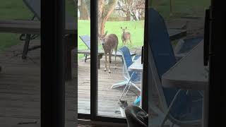 IMG 4844