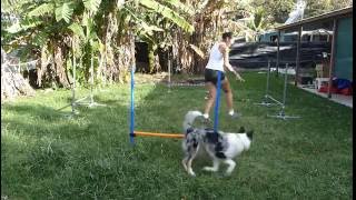 Agility - Jump Box Drills - Threadle, 270, Back side jump, Cik & cap